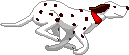 dalrun